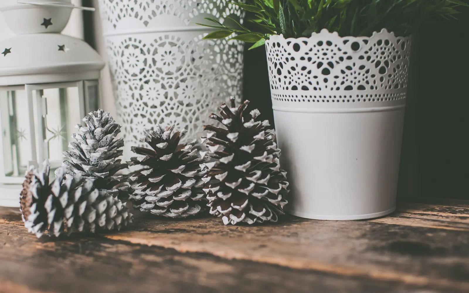 Frosted pinecones beside white lace-pattern pots on a wooden table