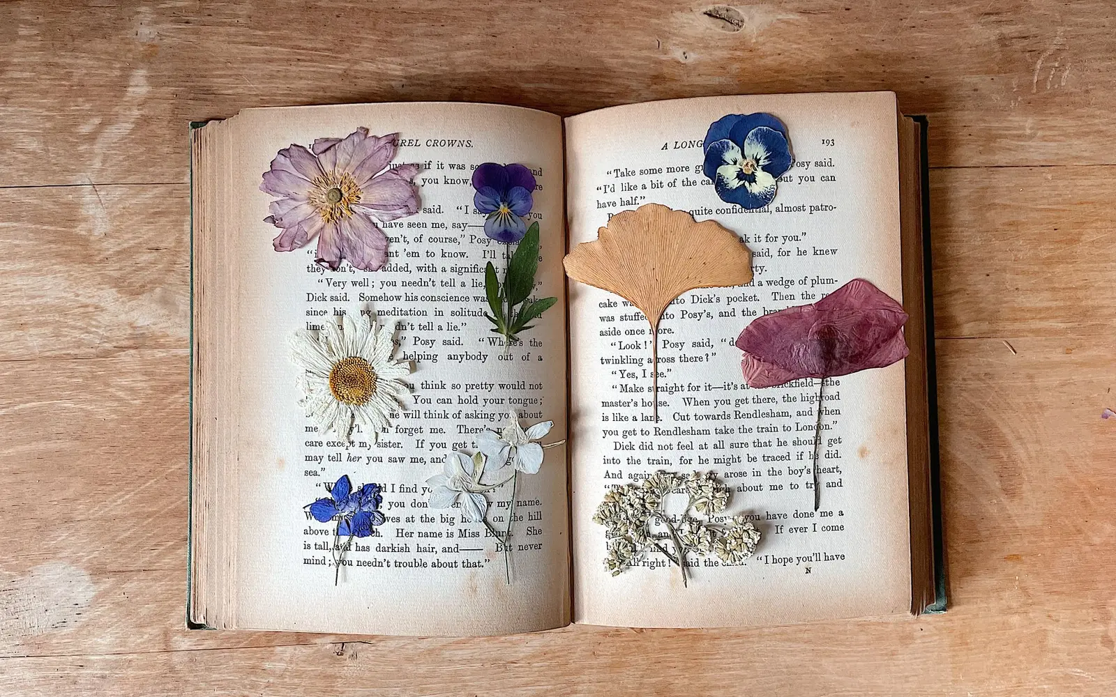 Pressed flowers and leaves laid on the pages of an open book